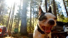 20180528_222556.jpg 20180528_222556.jpg