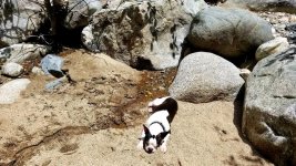 20180528_222638.jpg 20180528_222638.jpg