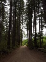IMG_20180528_231731.jpg