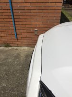 E85BB21A-1A25-4FFC-8419-6C43F48EC56B.jpg