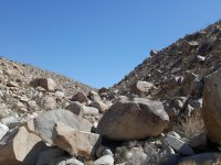 20180527_155255.jpg