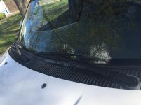 IMG_0082[1].jpg