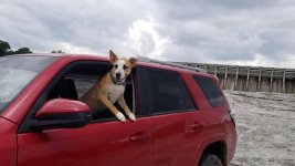 20180623_121806.jpg