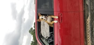20180620_135607.jpg
