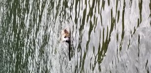 20180620_111516.jpg