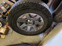 IMG_20180529_102301.jpg
