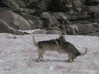 IMG_0434.jpg