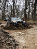 mudpit.jpg