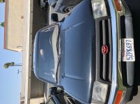 IMG_2931.jpg