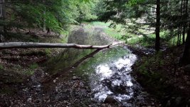 20180531_170607.jpg