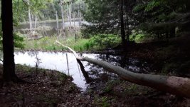 20180531_170456.jpg