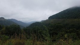 20180916_124146.jpg