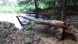 20180531_170447.jpg