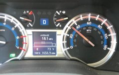 Speedo.jpg