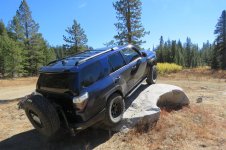 IMG_0273.jpg