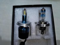 oEdRo bulbs1.jpg