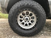 FalkenRay10.jpg