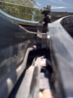 IMG00248.jpg