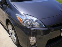 IMGP1979 (Large).JPG