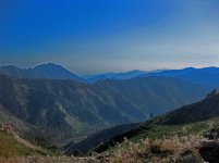IMG_4337.jpg