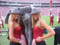 houndstoothtwins3qe1.jpg