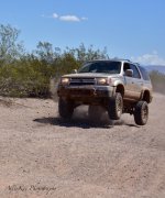 3rd gen flying 1.jpg