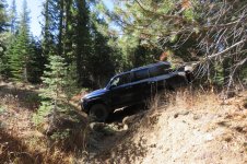 IMG_0338.jpg