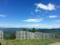 IMG_4394.jpg
