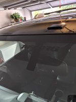 IMG_20181114_074729.jpg