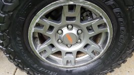 20181015_101452.jpg
