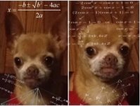 1dp7qm.jpg