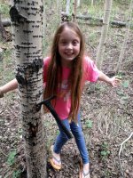 IMG_20180716_181001.jpg