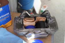 IMG_4328.jpg