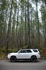 DSC_5253.jpg