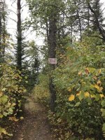 IMG_3615[1].jpg