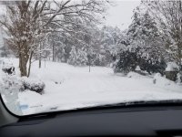 Screenshot_20181214-215310_Gallery.jpg