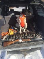 thumbnail_IMG_3280.jpg