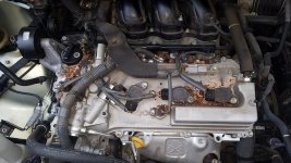 Acorns on Engine.jpg
