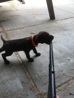 thumbnail_IMG_0590.jpg