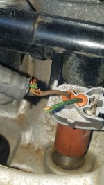 Chewed wire on fuel injector.jpg