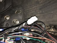 D83CBB10-E3F4-4961-B95E-4F73BB18D328.jpg