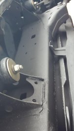 2 days after coat.jpg