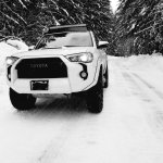Snow 1.jpg