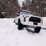 Snow 2.jpg