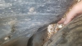 20181210_161958.jpg