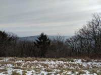 IMG_20181118_113535.jpg