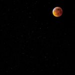rsz_img_20190121_151849_027.jpg