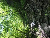 IMG_6014.jpg