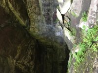 IMG_6017.jpg