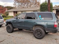 Delilah with Front Lift.jpg